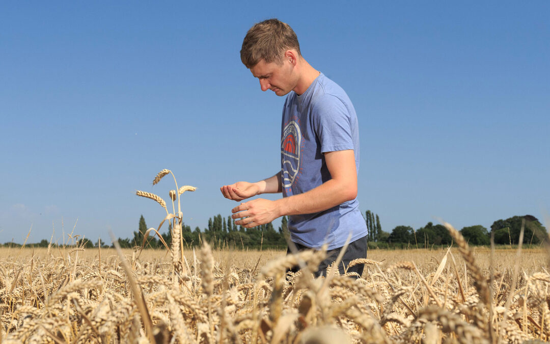 Gentle Farming – Unser Weg in die natürliche Landwirtschaft